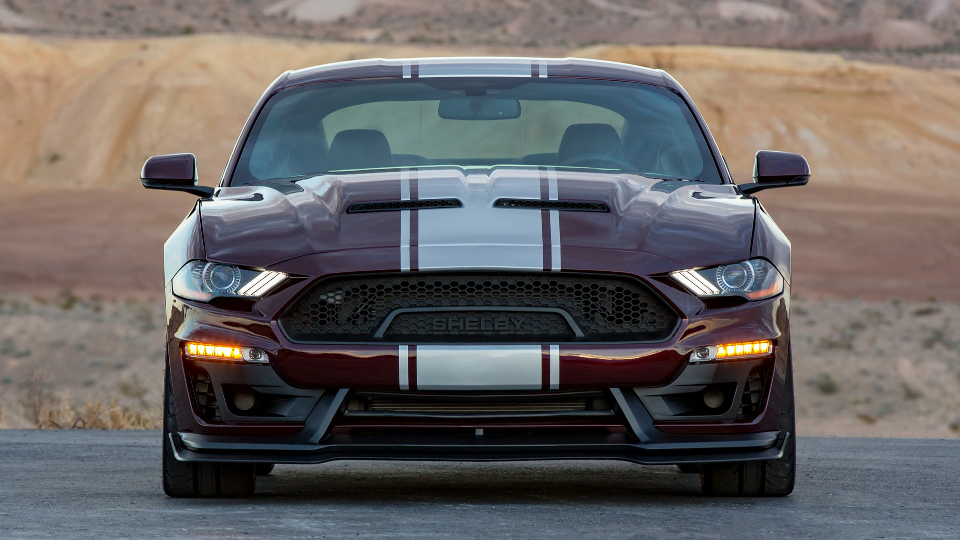 Vehicles Shelby Super Snake HD Wallpaper | Background Image