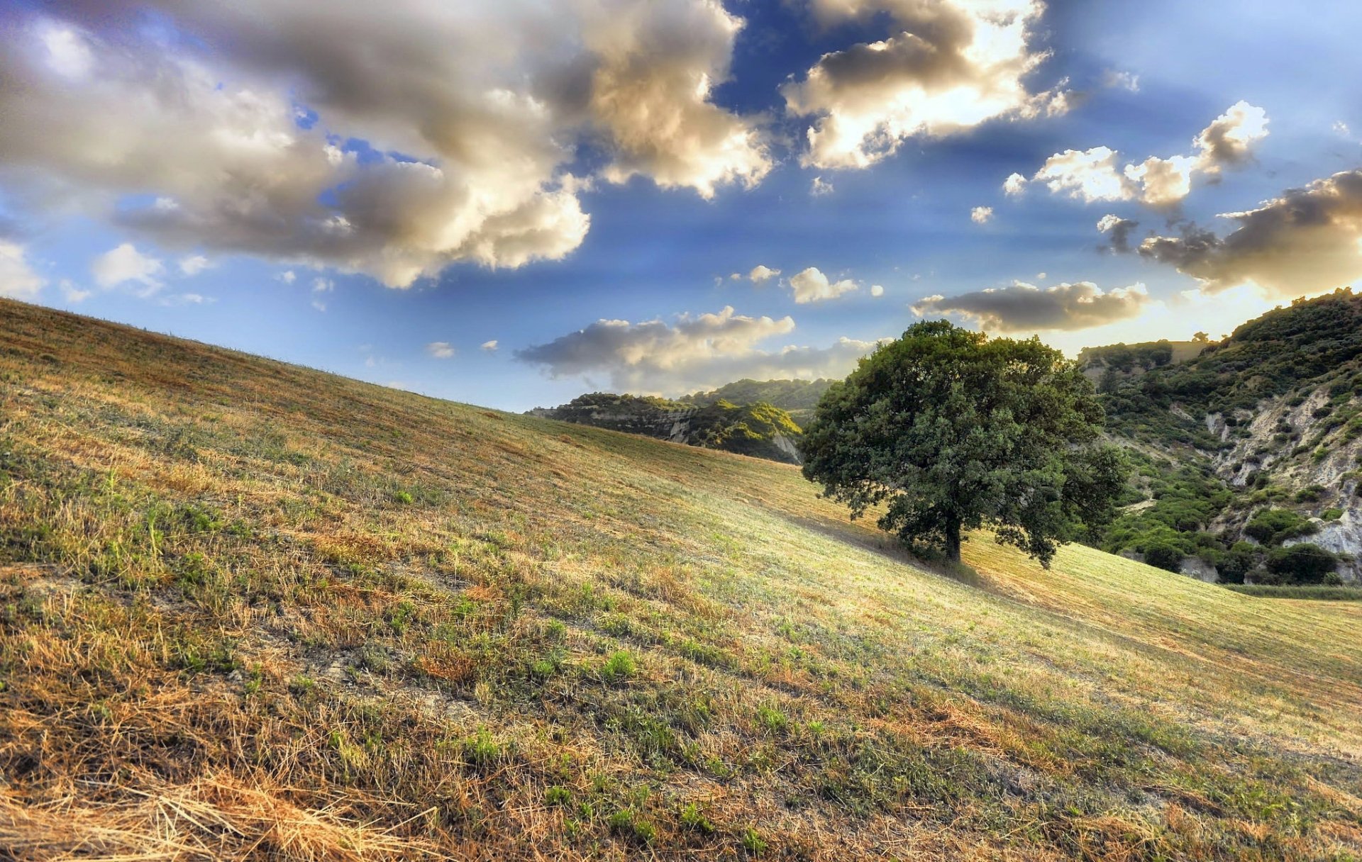 HD nature desktop wallpaper featuring a lone tree on a grassy hillside under a dramatic sky with scattered clouds.
