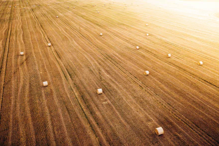 Aerial view of a summer field with scattered haystacks, captured in high definition as a serene nature scene for a PC desktop wallpaper.