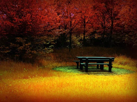 HD desktop wallpaper of a serene fall landscape featuring vibrant red trees and a solitary picnic table on a glowing yellow grass field in nature.