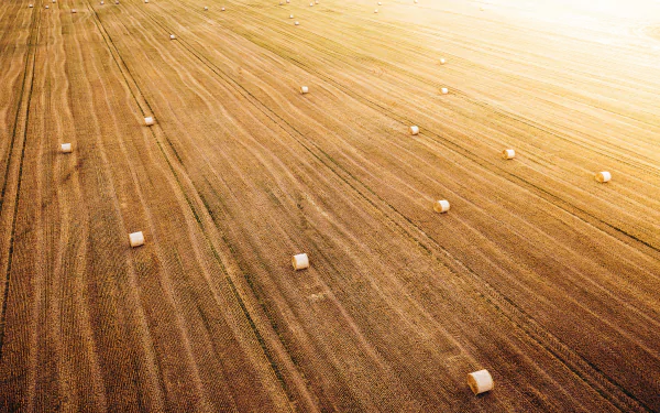 Aerial view of a summer field with scattered haystacks, captured in high definition as a serene nature scene for a PC desktop wallpaper.