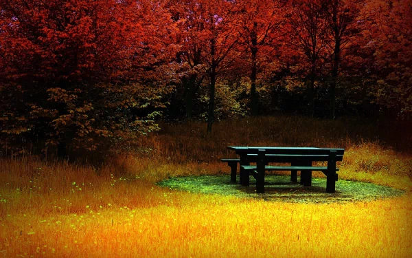 HD desktop wallpaper of a serene fall landscape featuring vibrant red trees and a solitary picnic table on a glowing yellow grass field in nature.