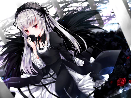 HD anime desktop wallpaper featuring Suigintou from Rozen Maiden in gothic black attire with silver hair and red eyes, set against a dark, intricate background.