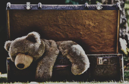 4K Ultra HD PC desktop wallpaper: stuffed teddy bear (man-made) draped over an open vintage suitcase on grass, soft toy against a blurred outdoor backdrop.