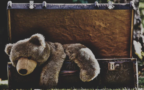 4K Ultra HD PC desktop wallpaper: stuffed teddy bear (man-made) draped over an open vintage suitcase on grass, soft toy against a blurred outdoor backdrop.