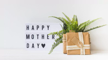 Happy Mother's Day holiday Mother's Day HD Desktop Wallpaper | Background Image