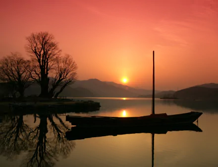 Silhouetted boat and tree by a lake at sunrise in South Korea, captured in serene HD photography as a peaceful desktop wallpaper background.