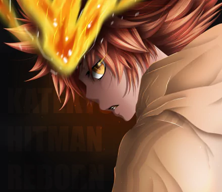 Tsunayoshi Sawada Anime Katekyō Hitman Reborn! HD Desktop Wallpaper | Background Image
