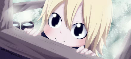 Mavis Vermilion Anime Fairy Tail HD Desktop Wallpaper | Background Image