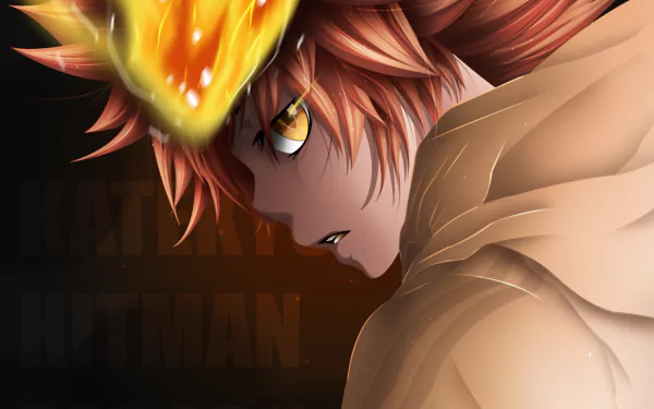 Tsunayoshi Sawada Anime Katekyō Hitman Reborn! HD Desktop Wallpaper | Background Image
