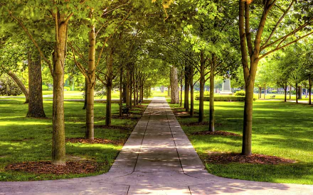 walkway path greenery tree photography park HD Desktop Wallpaper | Background Image