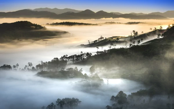  Vietnam Landscape Forest Dense Fog