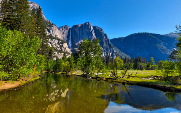 4K Ultra HD wallpaper of Yosemite National Park valley showcasing lush greenery, reflective river, and towering granite cliffs beneath a clear blue sky.