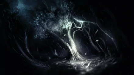 HD wallpaper of a mystical dark forest with ethereal lighting, creating an enigmatic background.