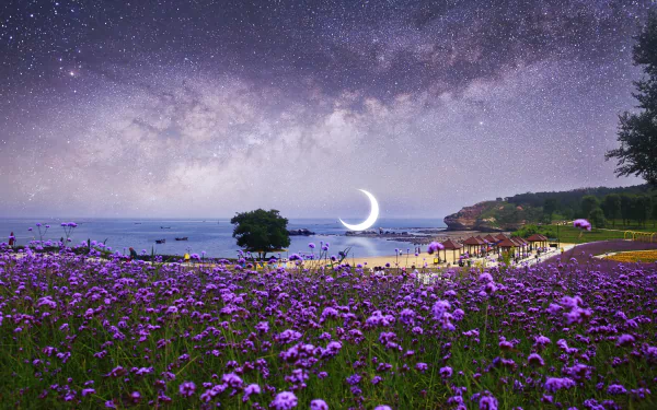  Beach Surreal Scenery