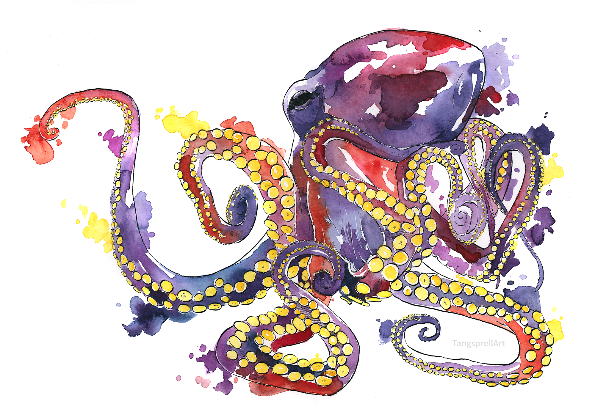 Artistic Octopus HD Wallpaper | Background Image