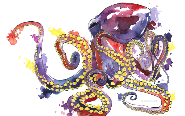 Artistic Octopus Watercolor HD Wallpaper | Background Image