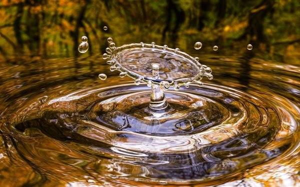 Photography Water Drop Splash Water HD Wallpaper | Background Image