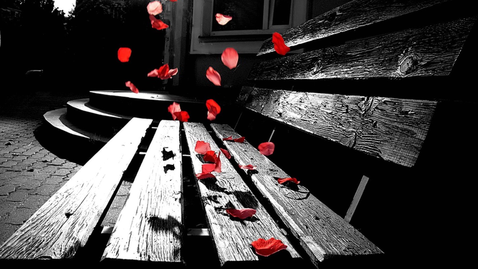 A beautifully crafted bench captures scattered red rose petals against a striking black-and-white background, creating a serene and artistic desktop wallpaper.