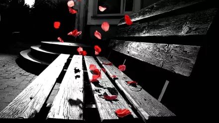 A beautifully crafted bench captures scattered red rose petals against a striking black-and-white background, creating a serene and artistic desktop wallpaper.