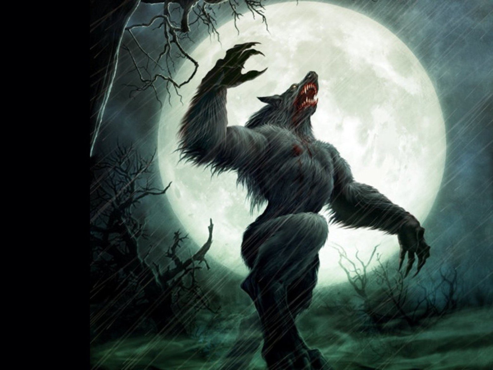 154 Werewolf HD Wallpapers Background Images Wallpaper Abyss
