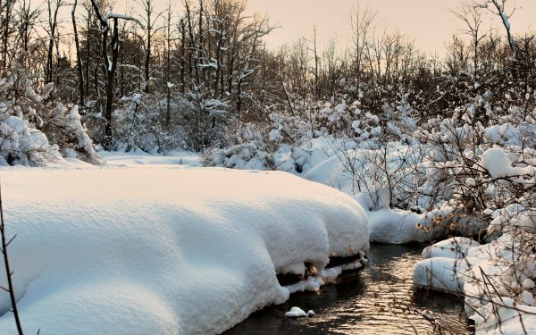 Earth Winter Creek Stream Snow HD Wallpaper | Background Image