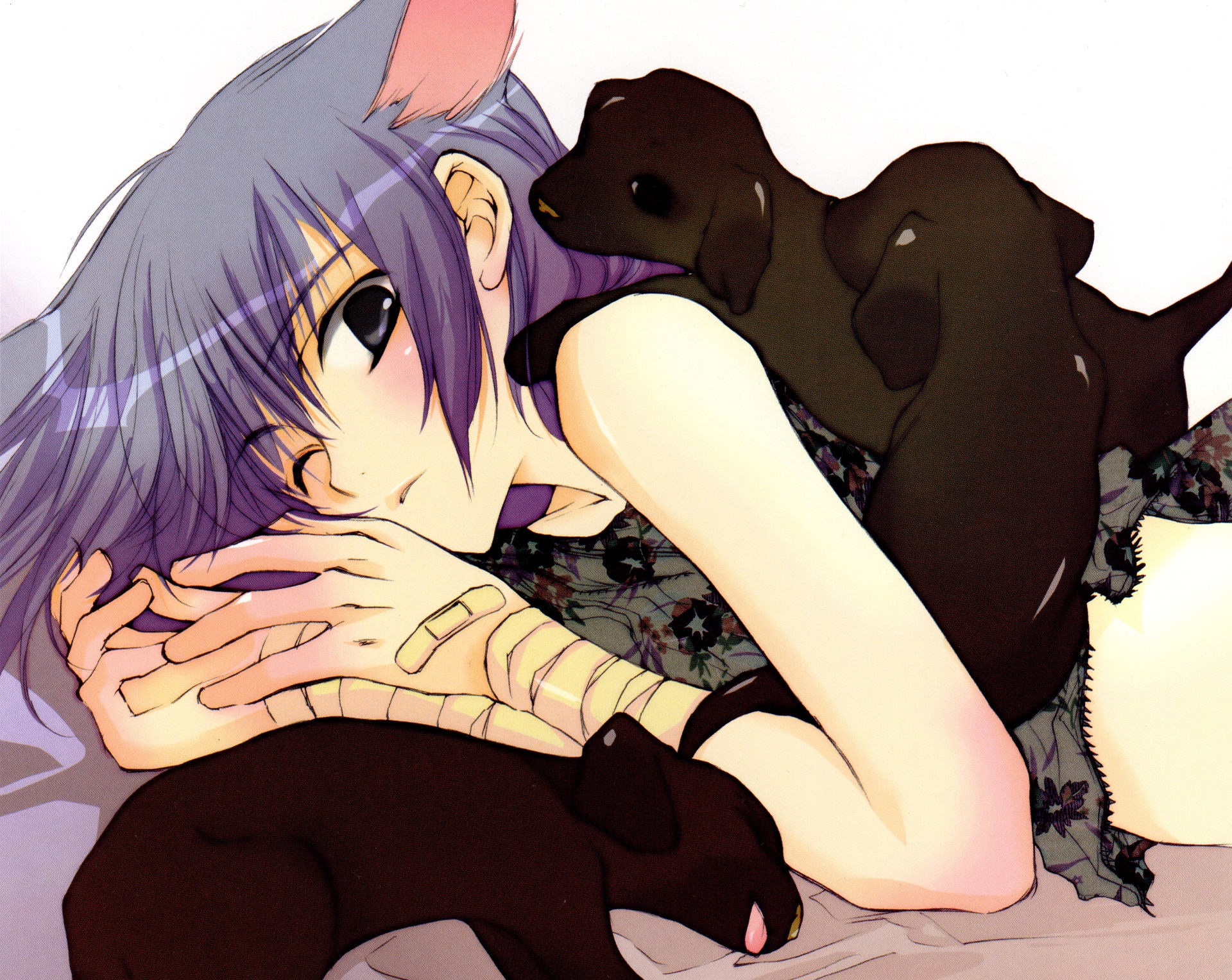Anime Loveless HD Wallpaper | Background Image