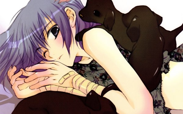 Anime Loveless Aoyagi Ritsuka HD Wallpaper | Background Image