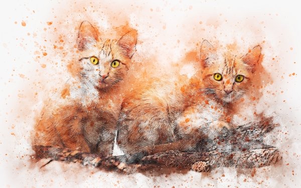 Animales Gato Gatos Pet Pintura Fondo de pantalla HD | Fondo de Escritorio