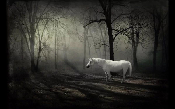 HD desktop wallpaper of a fantasy forest scene featuring a majestic white unicorn standing amidst shadowy trees.