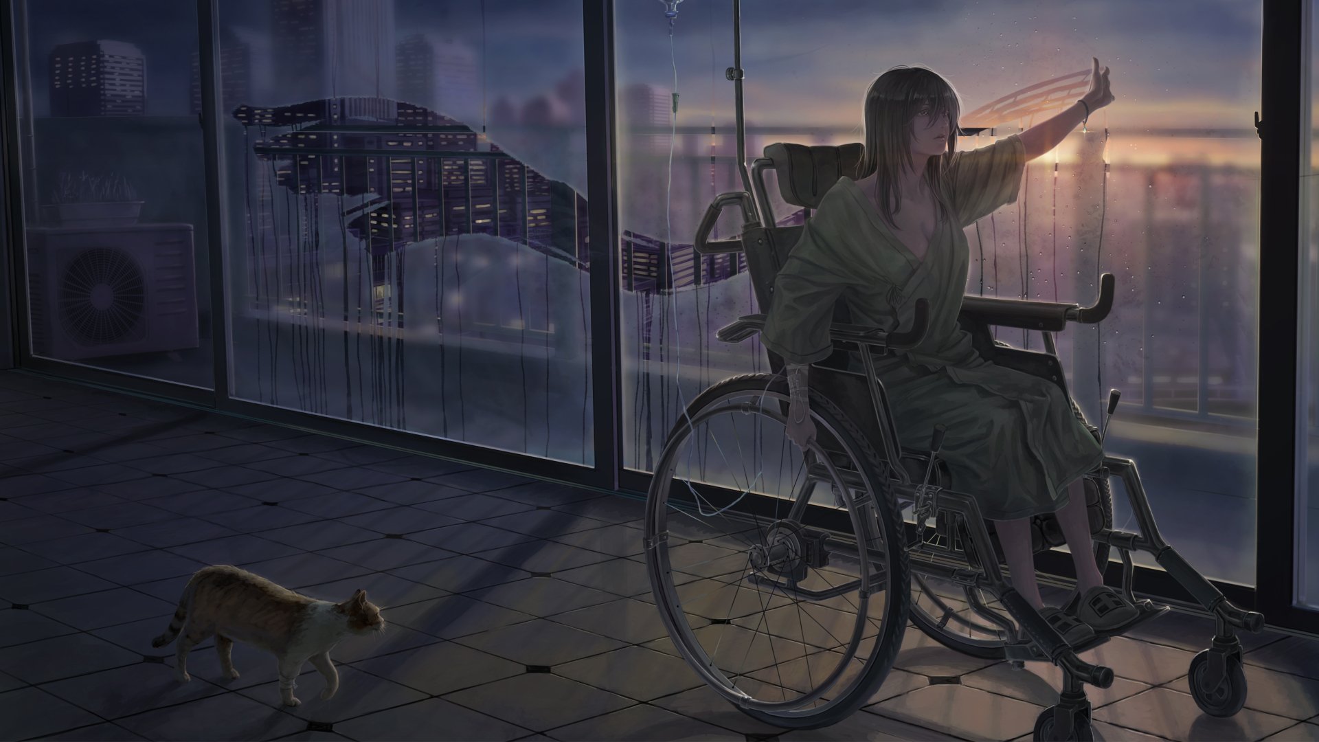 HD desktop wallpaper of an anime girl in a wheelchair reaching towards the sunset, with a cat walking nearby. The scene features a serene indoor setting with city views in the background.