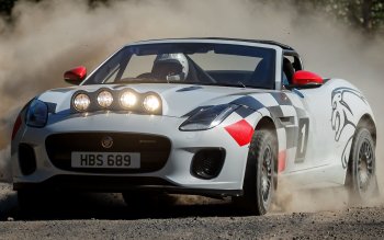 Preview F-Type Rally Car