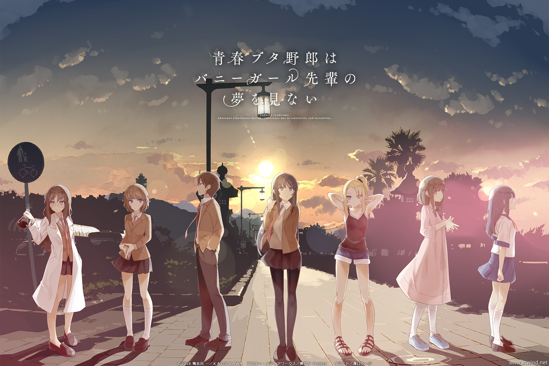 Seishun Buta Yarou wa Yume Miru Shoujo no Yume wo Minai (Rascal Does Not  Dream Of Dreaming Girl The Movie) - Zerochan Anime Image Board