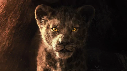  Simba