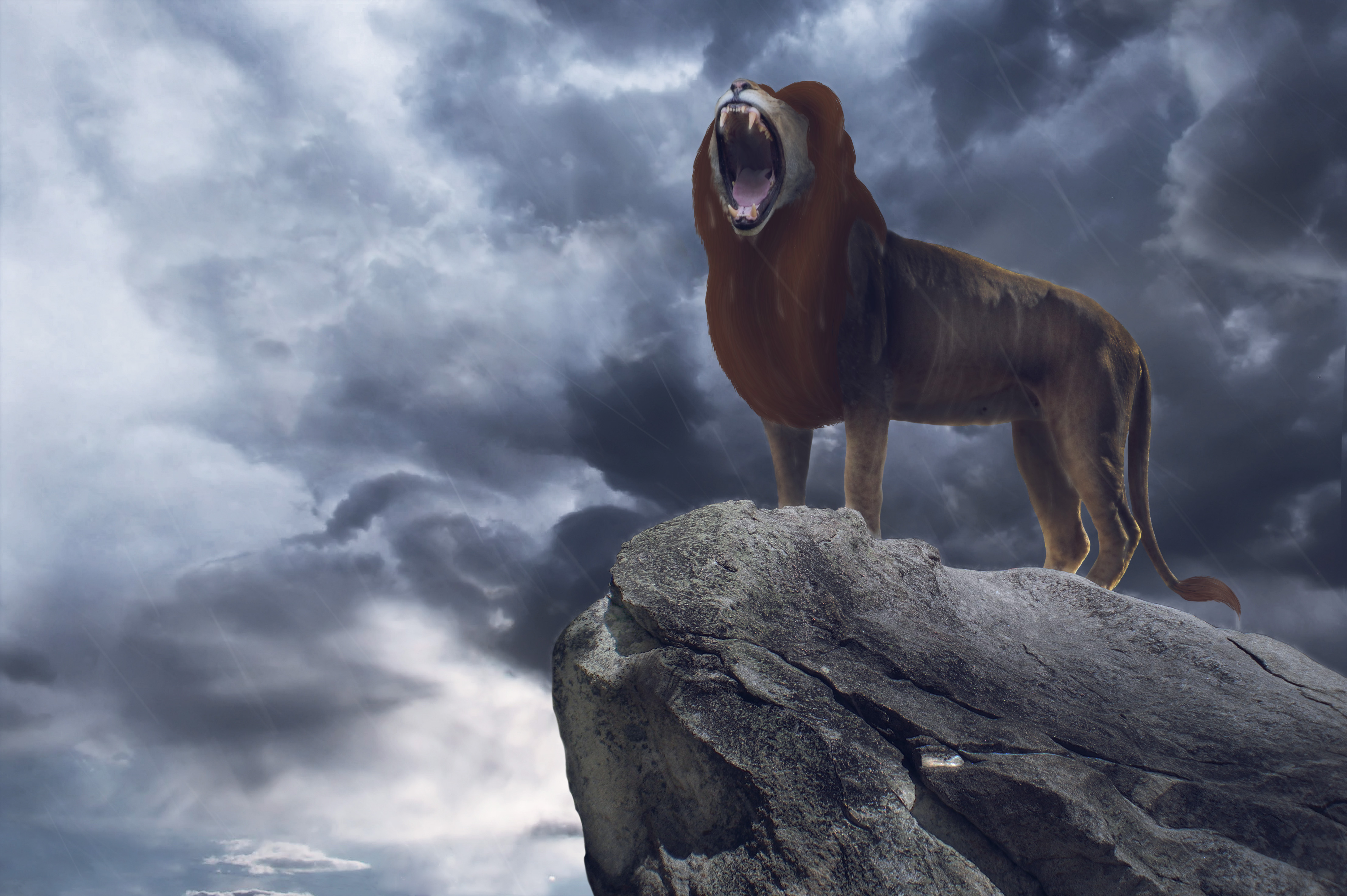 Movie The Lion King (2019) HD Wallpaper | Background Image