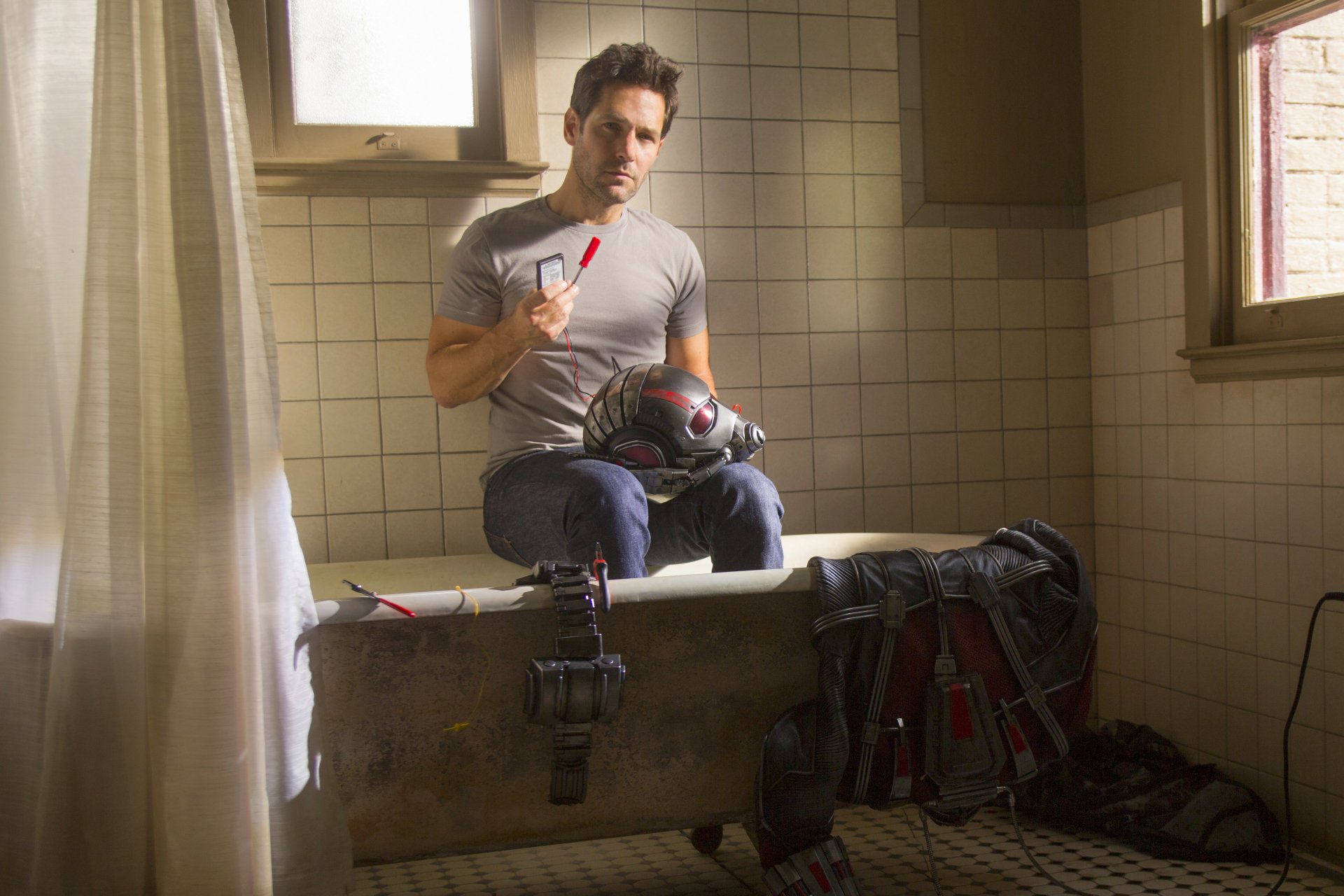 Download Paul Rudd Movie Ant-Man 4k Ultra HD Wallpaper