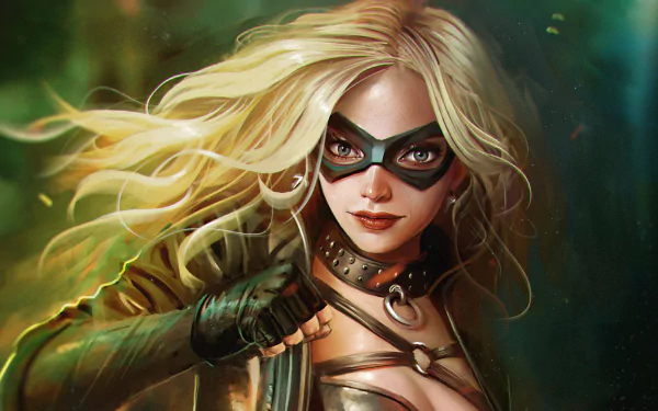 DC Comics Comic Black Canary HD Desktop Wallpaper | Background Image