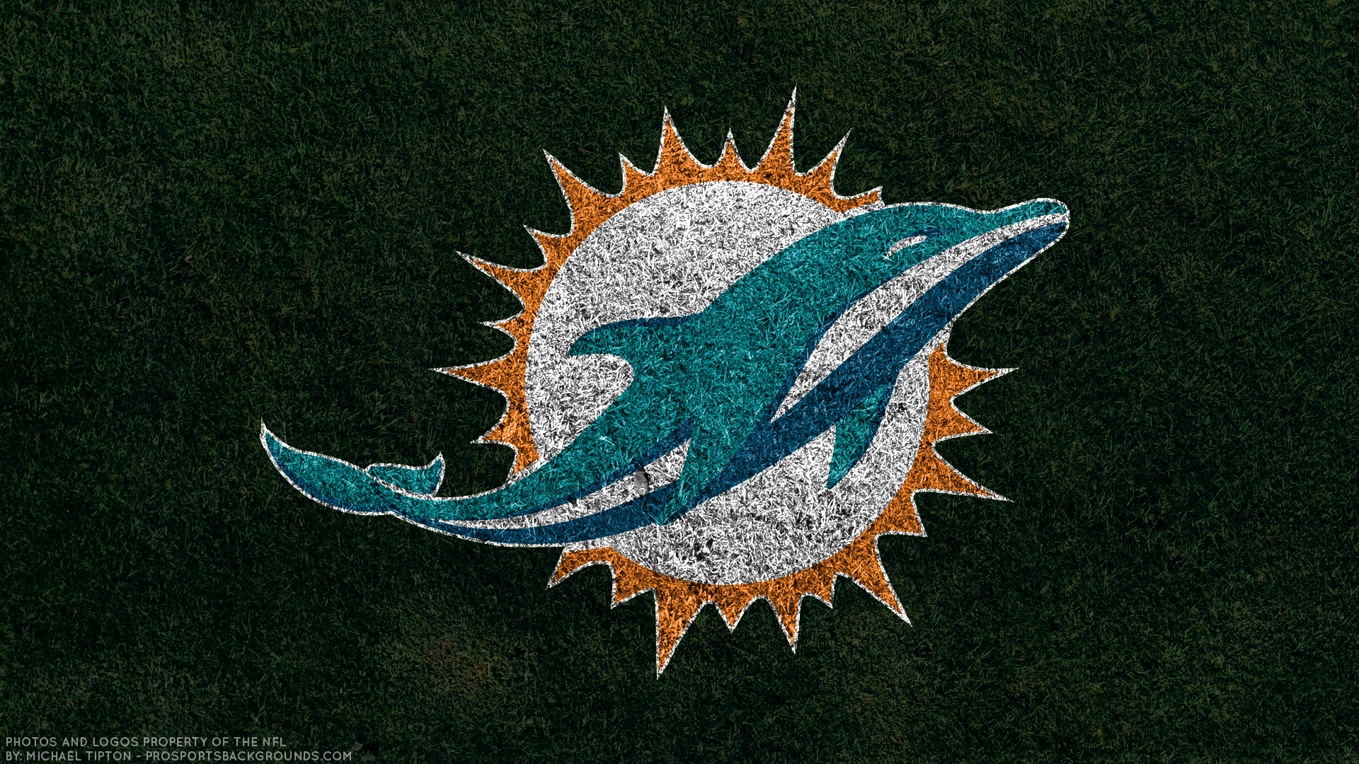 Miami Dolphins Hd Wallpaper Background Image 19x1080 Id Wallpaper Abyss