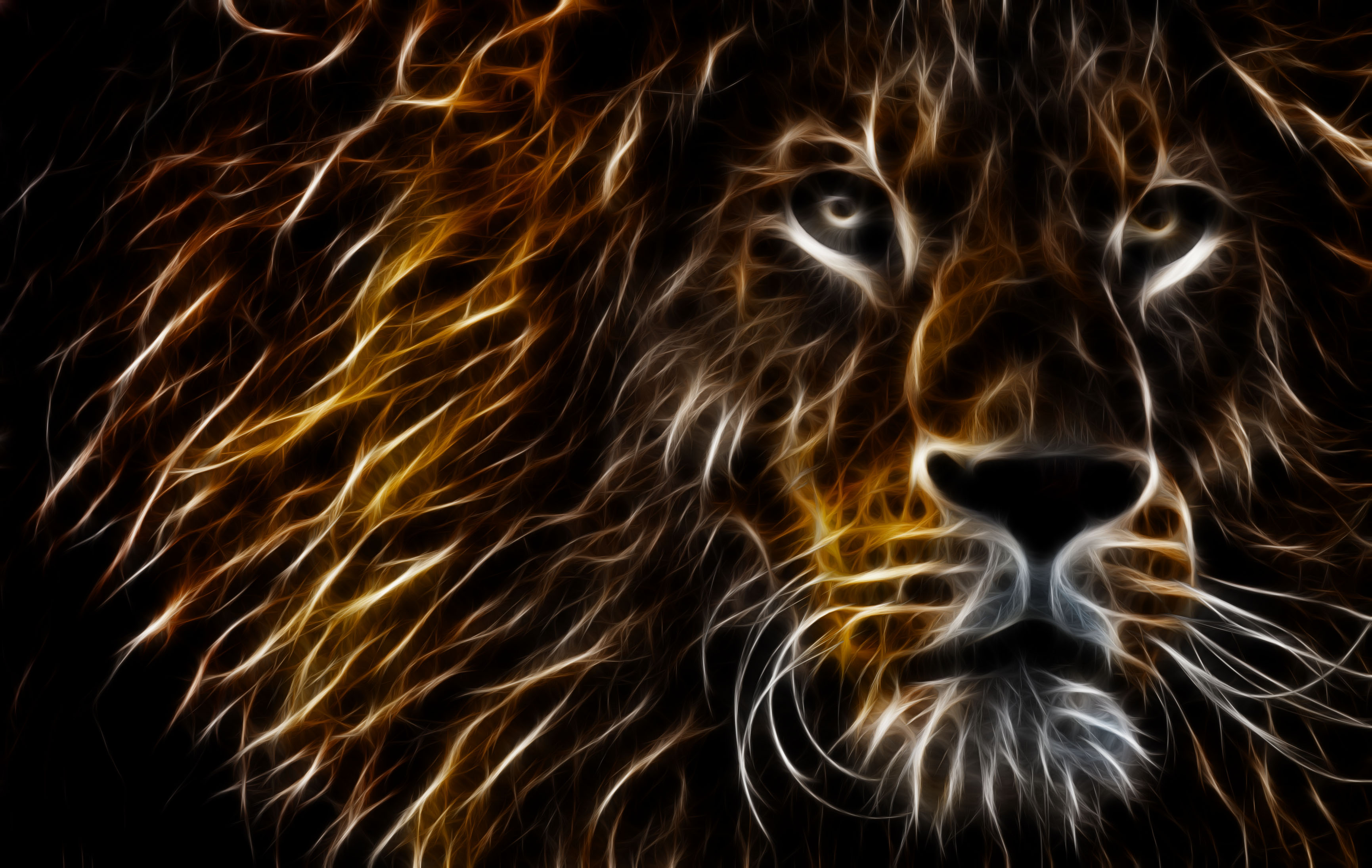 HD colorful lion wallpapers | Peakpx