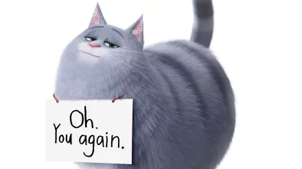 Chloe (The Secret Life of Pets) movie The Secret Life of Pets 2 HD Desktop Wallpaper | Background Image