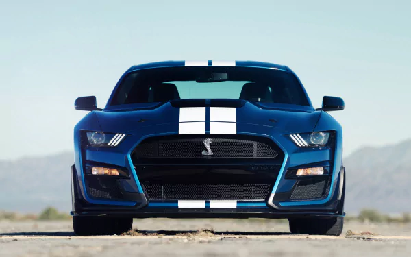 muscle car car Ford Ford Mustang Ford Mustang Shelby vehicle Ford Mustang Shelby GT500 HD Desktop Wallpaper | Background Image