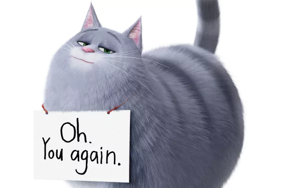 Chloe (The Secret Life of Pets) movie The Secret Life of Pets 2 HD Desktop Wallpaper | Background Image