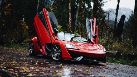 supercar car McLaren vehicle McLaren 570S HD Desktop Wallpaper | Background Image