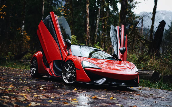 A red McLaren 570S supercar with its butterfly doors open on a wet forest road, captured in stunning 4K Ultra HD as a PC desktop wallpaper.