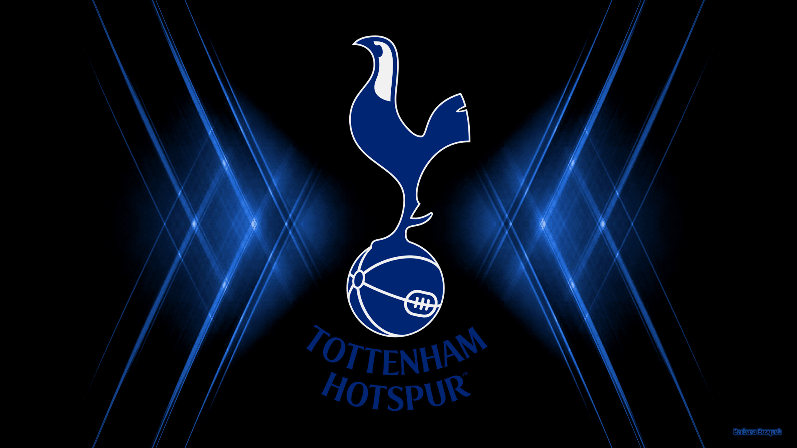 40+ Tottenham Hotspur F.C. HD Wallpapers and Backgrounds