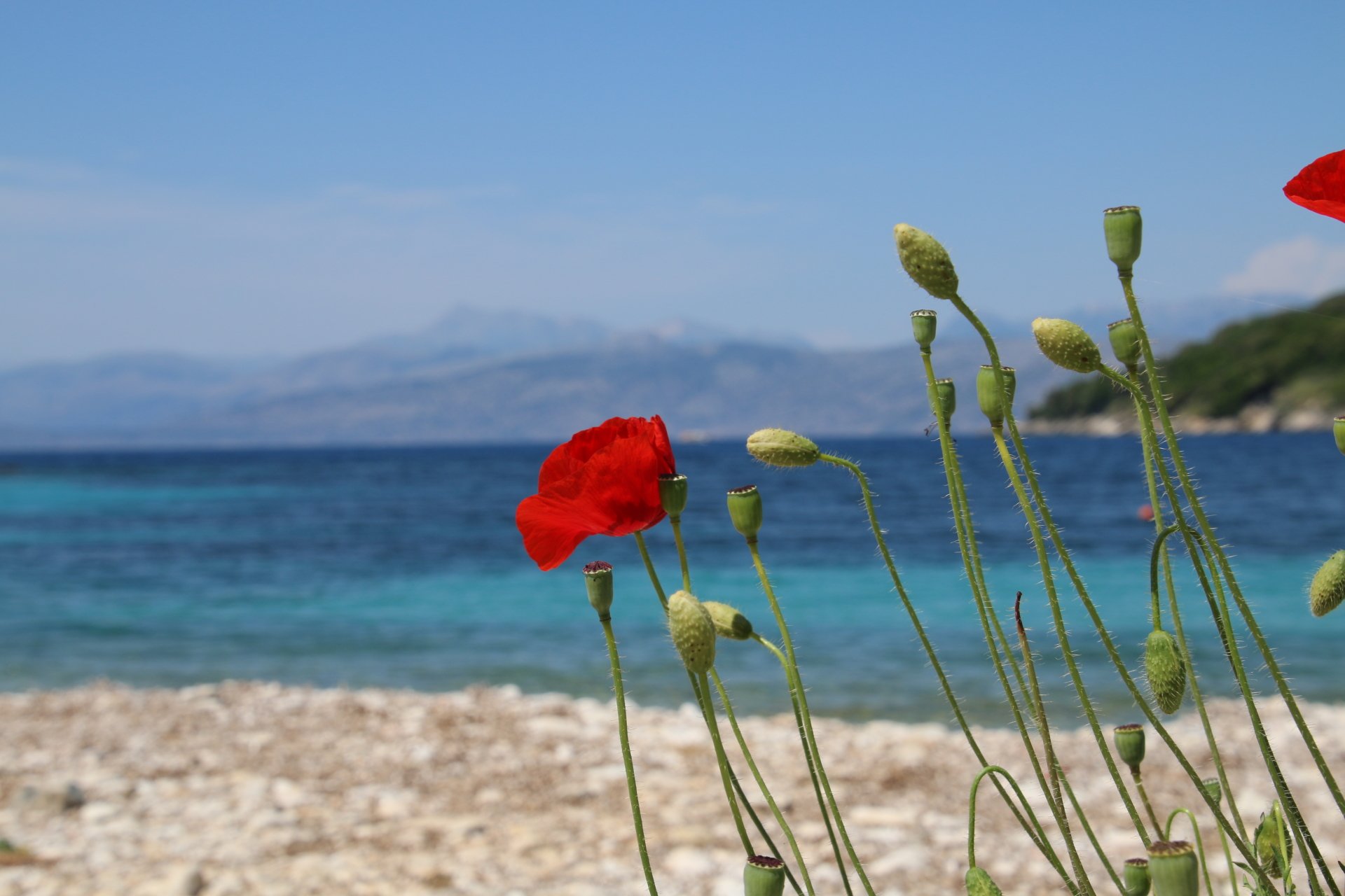 Corfu Beach by Roy_Squires