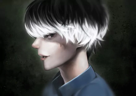 Close-up HD wallpaper of Haise Sasaki (Ken Kaneki) from Tokyo Ghoul:re, featuring his distinctive grey and white hair in detailed anime style.