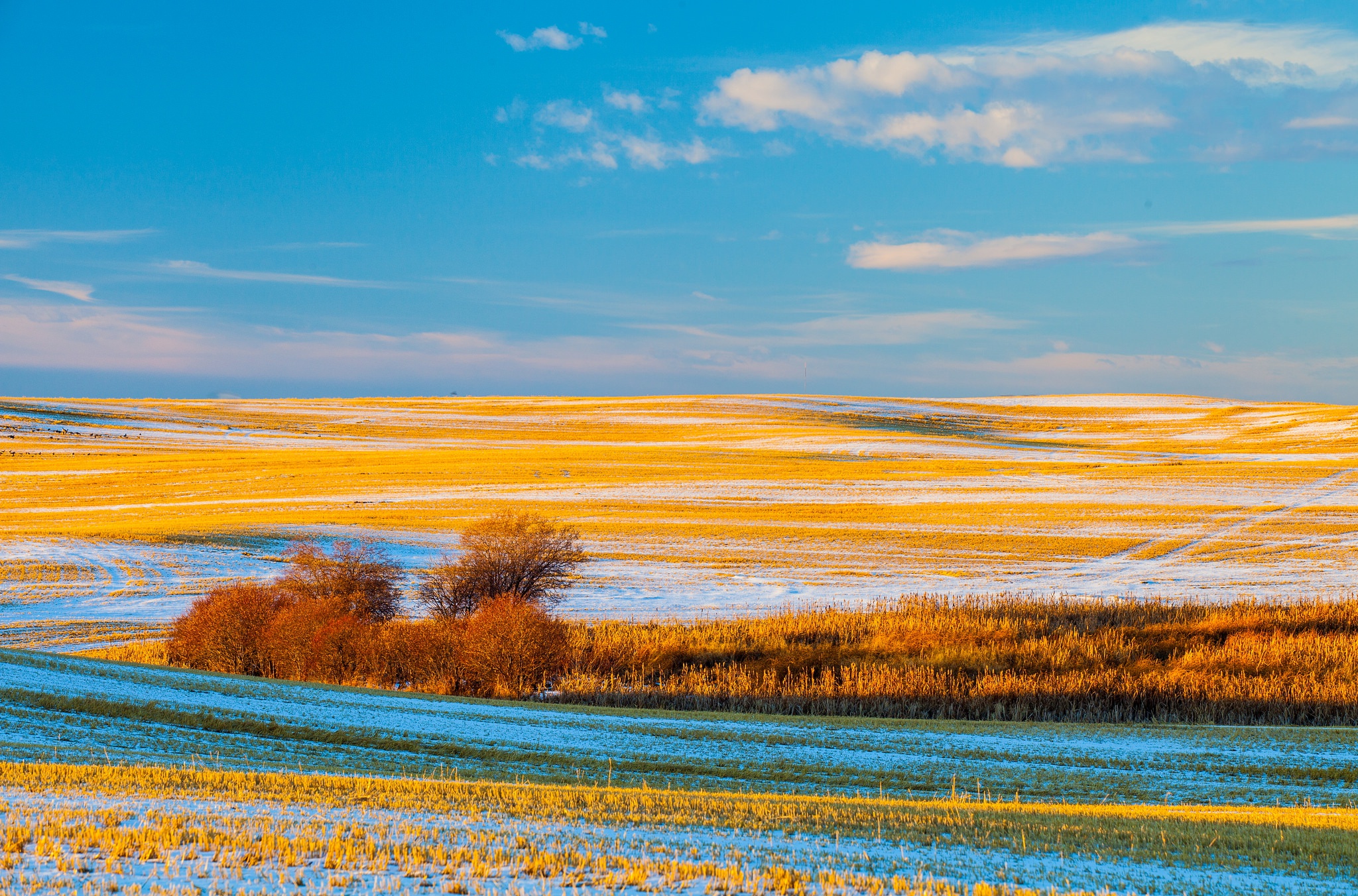 Осеннее Поле Фото