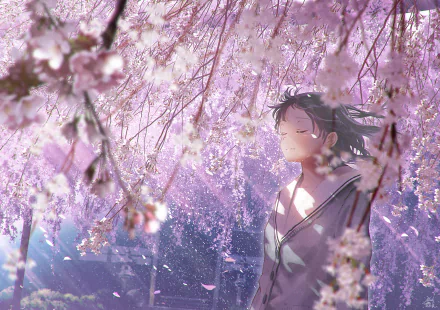 Anime-style girl enjoying the serene beauty of a blooming sakura forest; a picturesque HD desktop wallpaper and background.