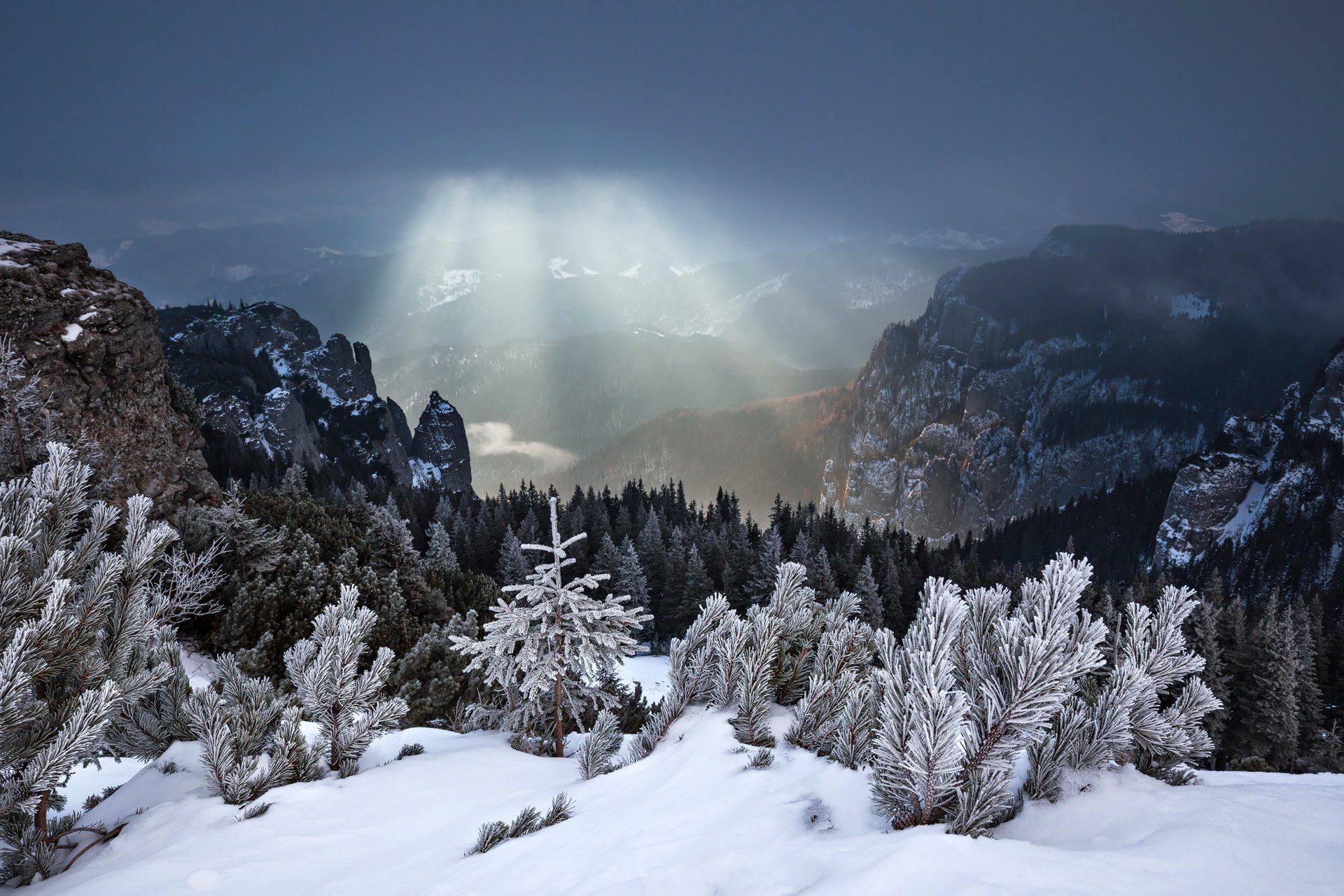 Download Nature Winter Landscape Sunbeam HD Wallpaper | 1920x1280 ...